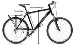 http://www.dynamicbicycles.com/images/misc/sizing_photo.jpg